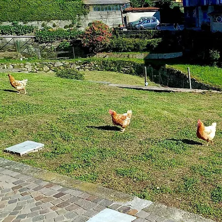 Casa Mati 1 Apartman