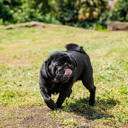 Casa Mati 1 * Verbania